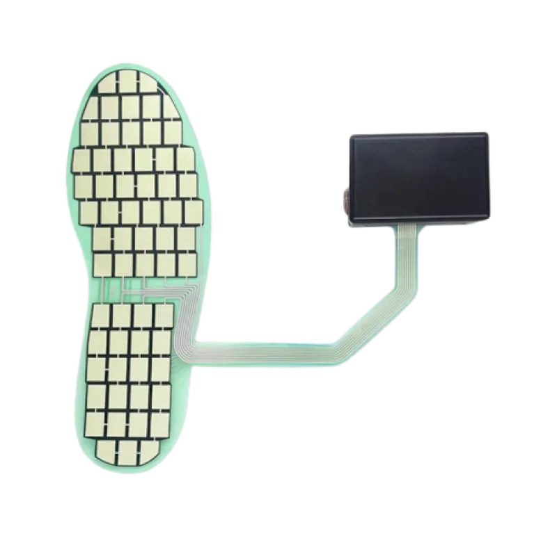 Foot Pressure Distribution Detection System